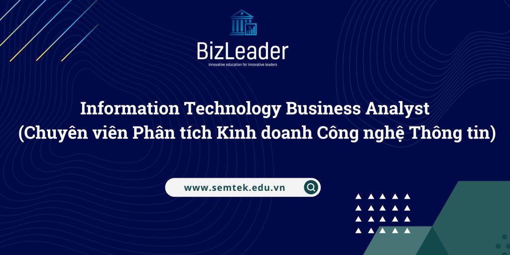 Vai trò của Chuyên viên Phân tích Kinh doanh Công nghệ Thông tin (Information Technology Business Analyst)