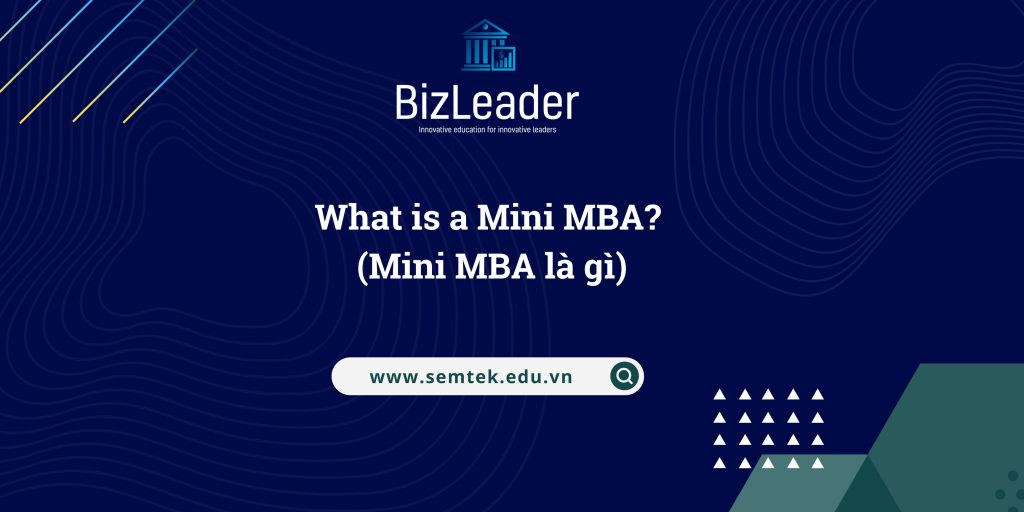 What is a Mini MBA? (Mini MBA là gì)